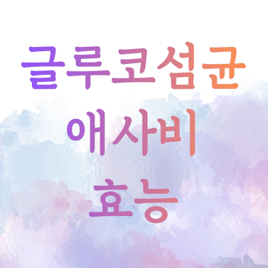 글루코섬균 애사비 효능