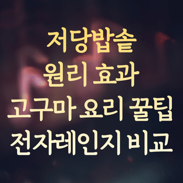 저당밥솥 원리와 효과 분석 및 고구마 요리 꿀팁 (전자레인지 비교)