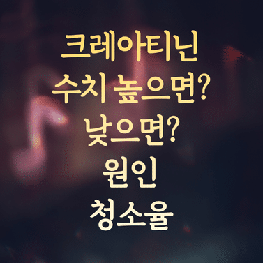 크레아티닌 수치 높으면 vs 낮으면 원인 (크레아티닌 청소율 관리 꿀팁)