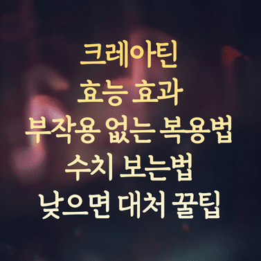 크레아틴 효능과 효과 (부작용 없는 복용법 및 수치 보는법, 낮으면 대처 꿀팁)