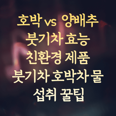 호박 붓기차 vs 양배추 붓기차 효능 (친환경 제품 및 붓기차 호박차 물 섭취 꿀팁)